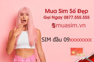 mua sim đầu 09