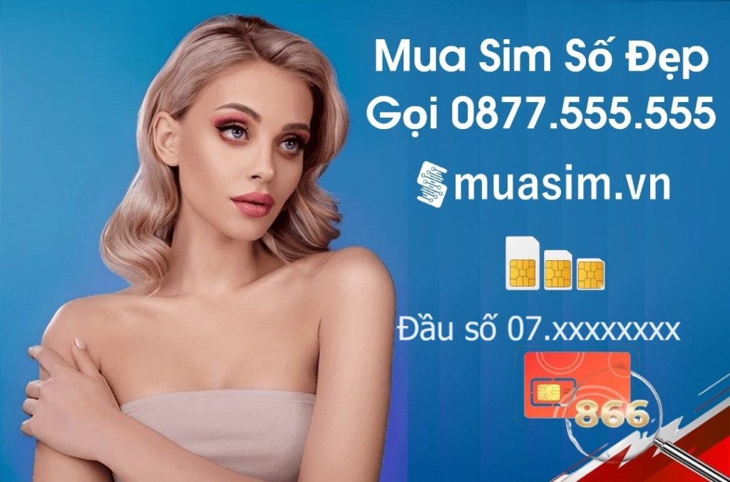 mua sim đầu số 07