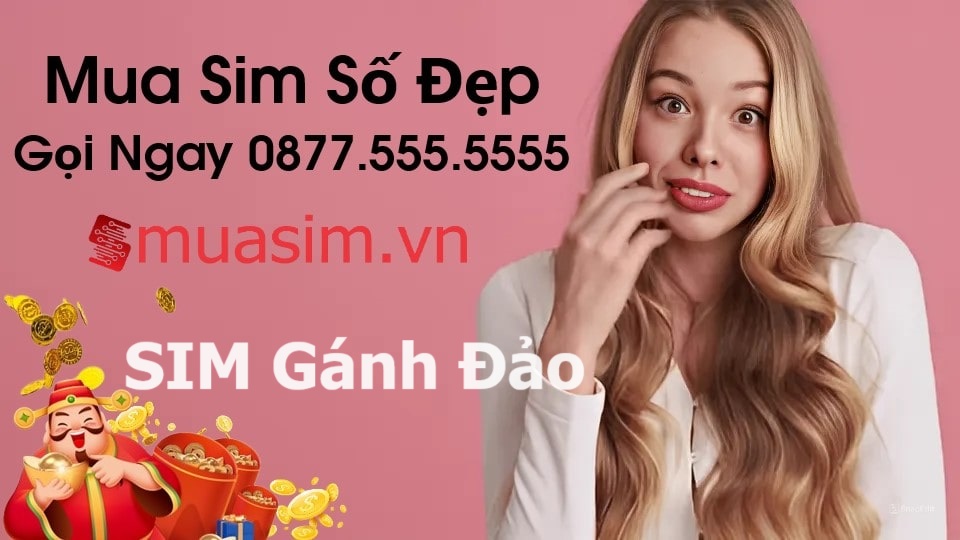 mua sim gánh đảo