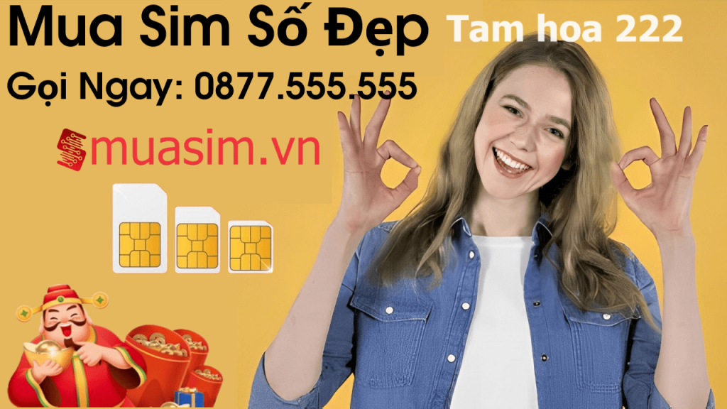 mua sim tam hoa 2