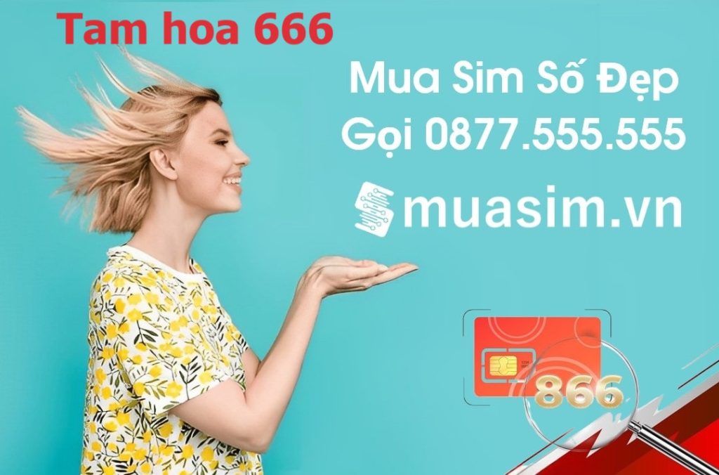 mua sim tam hoa 666