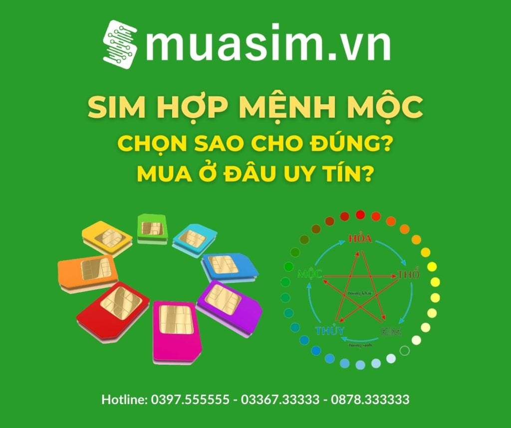 Chọn sim hợp mệnh Mộc - Kho sim Muasim.vn